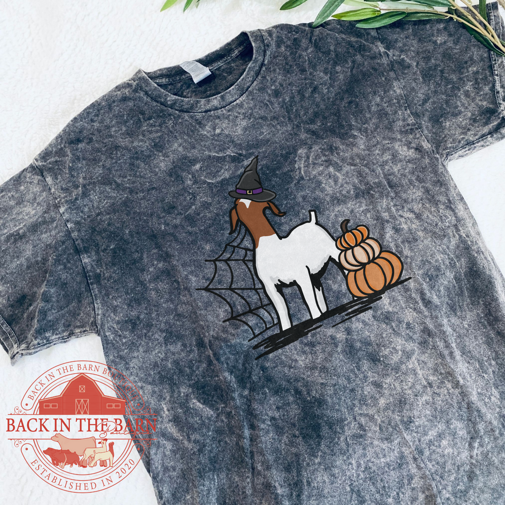 Pumpkin Stack Goat Mineral Wash Shirt