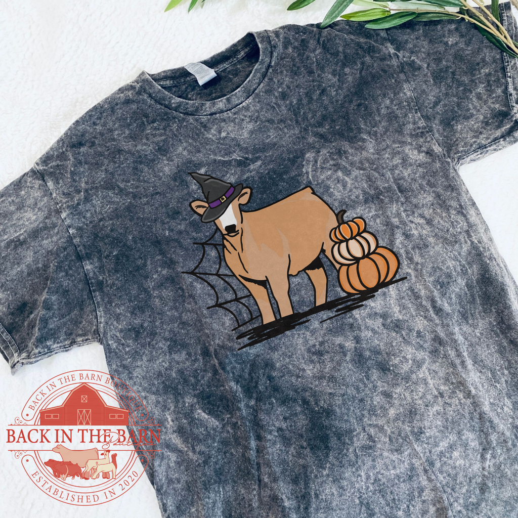 Pumpkin Stack Cattle Mineral Wash Shirt