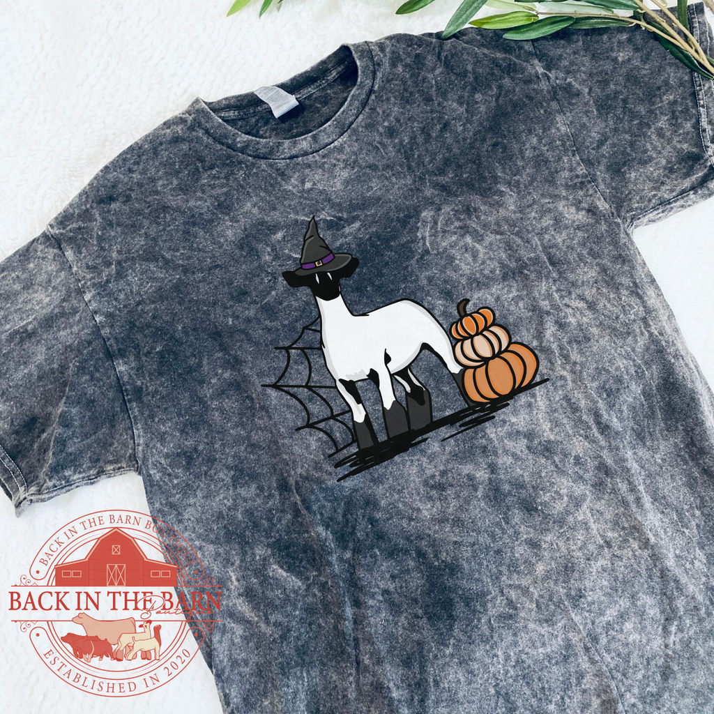 Pumpkin Stack Lamb Mineral Wash Shirt