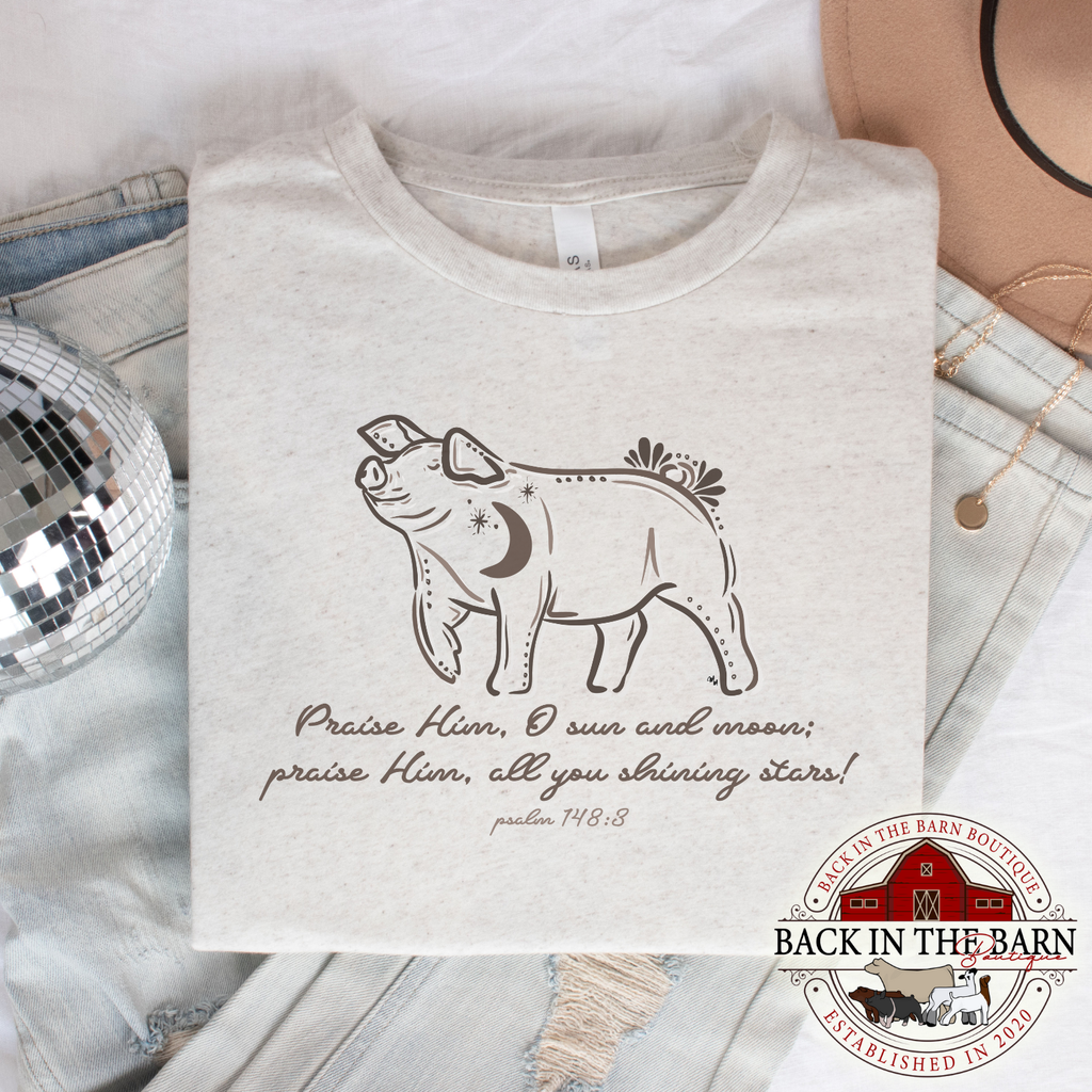 Shining Stars Psalm 148:3 Pig Shirt