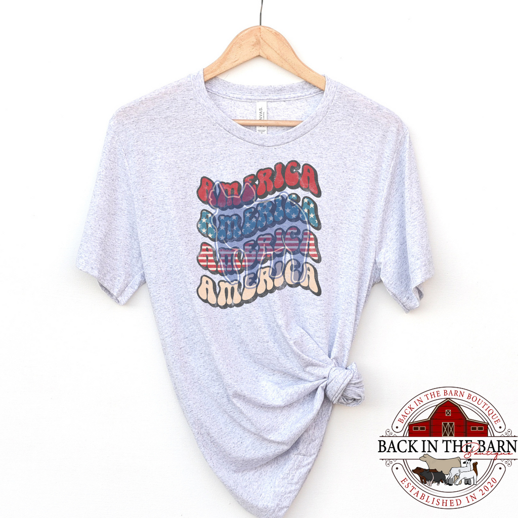 American Pride Pig Shirt