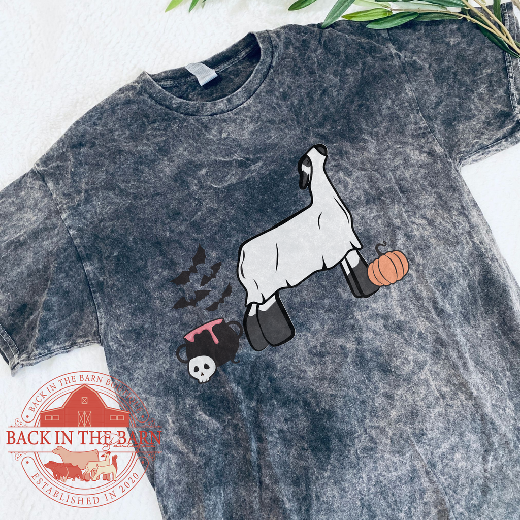 Spooky Season Lamb Mineral Wash Shirt