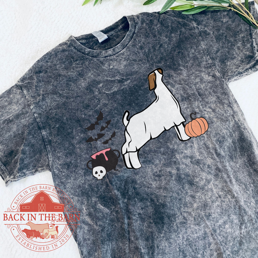 Spooky Season Goat Mineral Wash Shirt