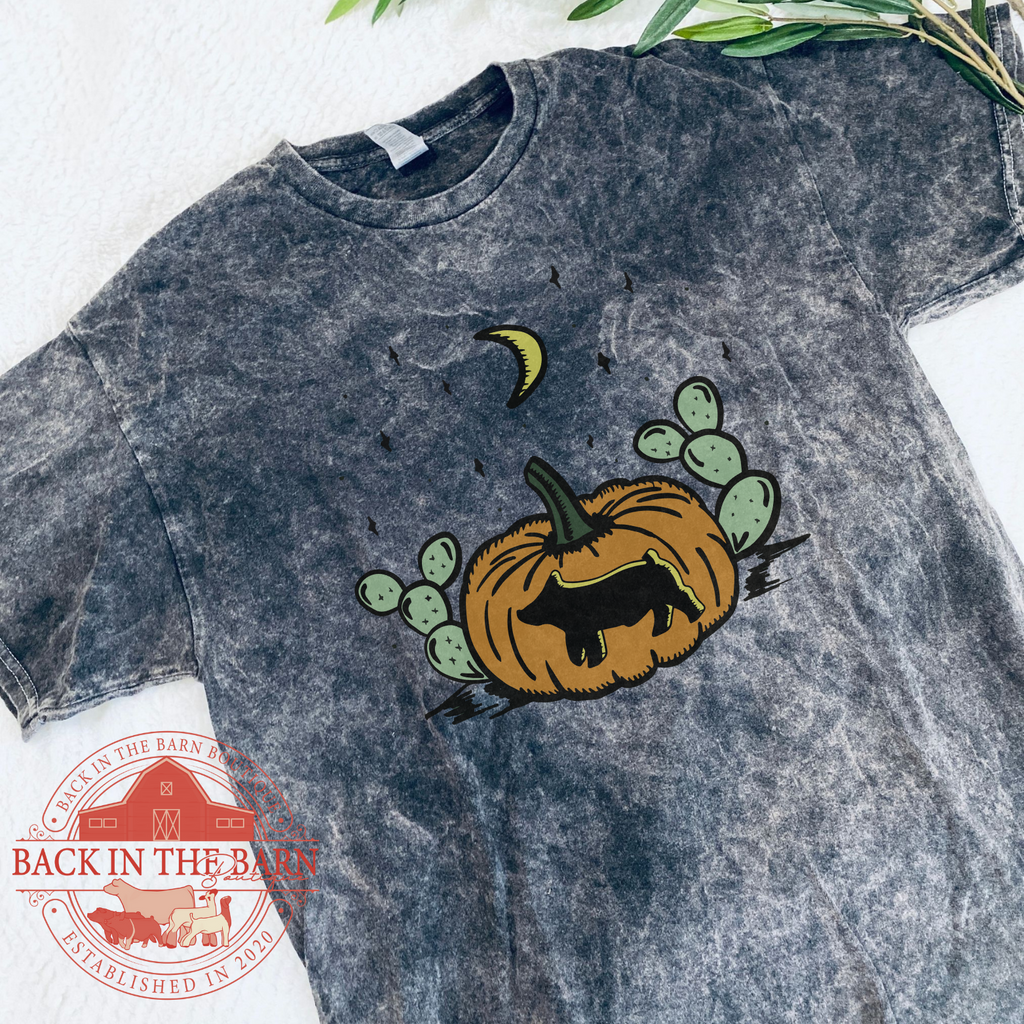 Desert Pumpkin Pig Mineral Wash Shirt