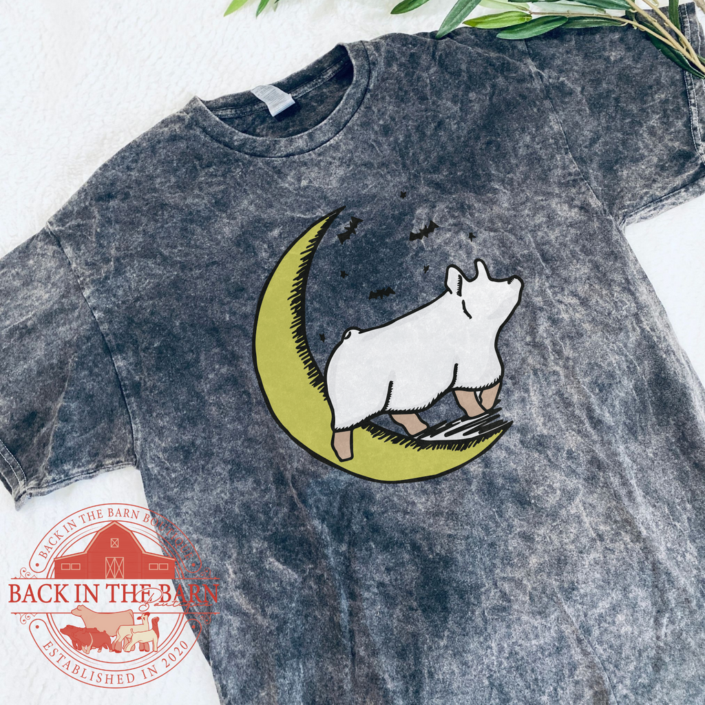 Midnight Ghost Pig Mineral Wash Shirt