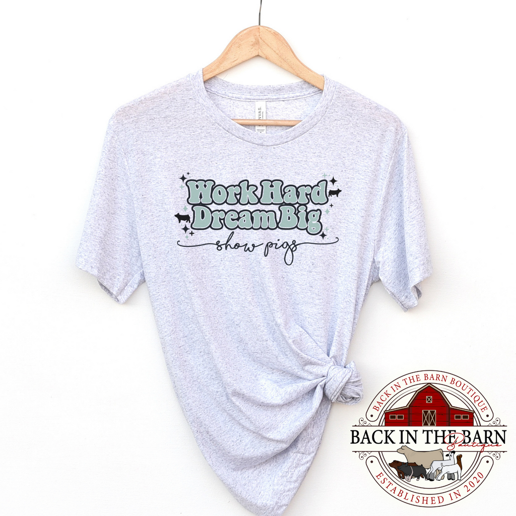 Work Hard Dream Big Show Pigs Teal Shirt