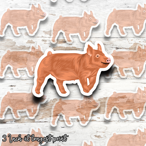 Tamworth Pig Sticker