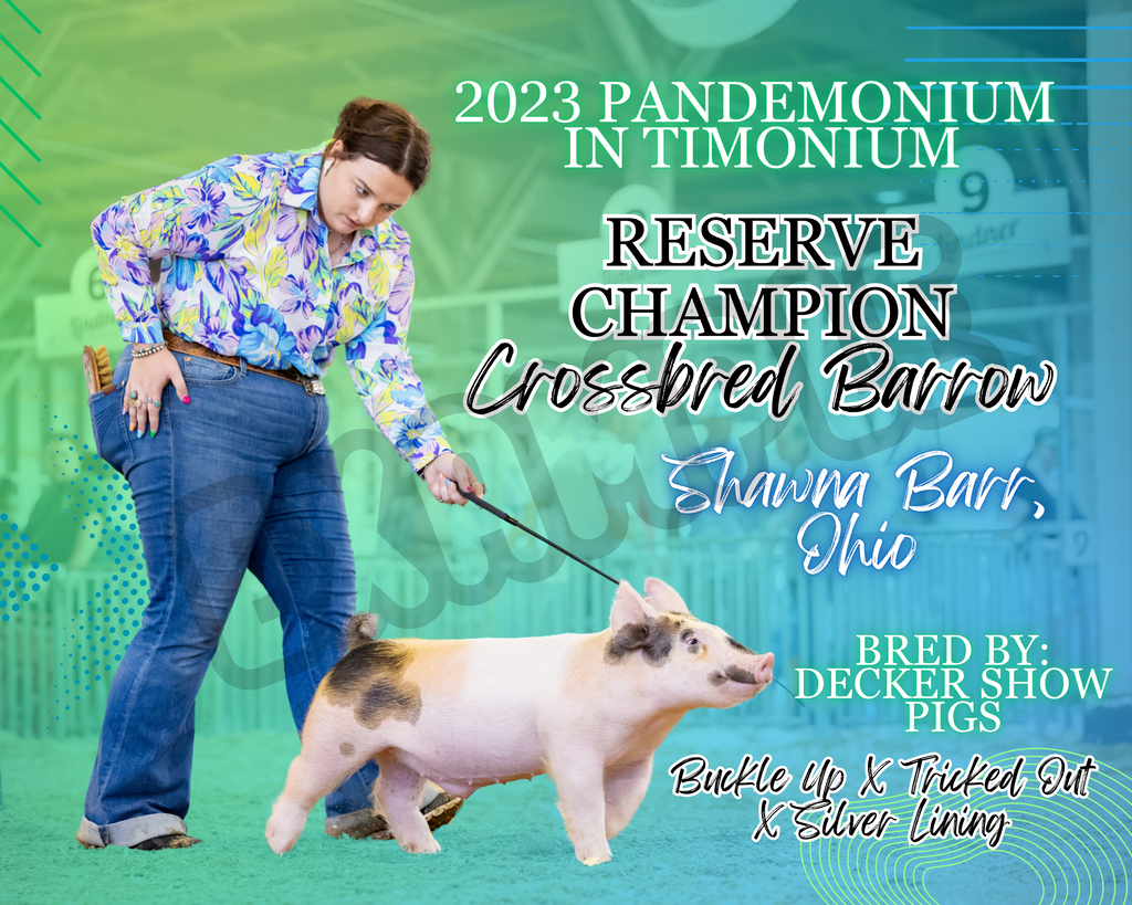 Vinyl Award Banner Blue/Green Gradient Custom