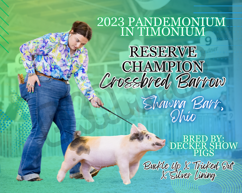 Vinyl Award Banner Blue/Green Gradient Custom