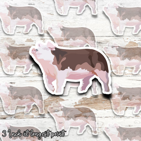 Hereford Pig Sticker