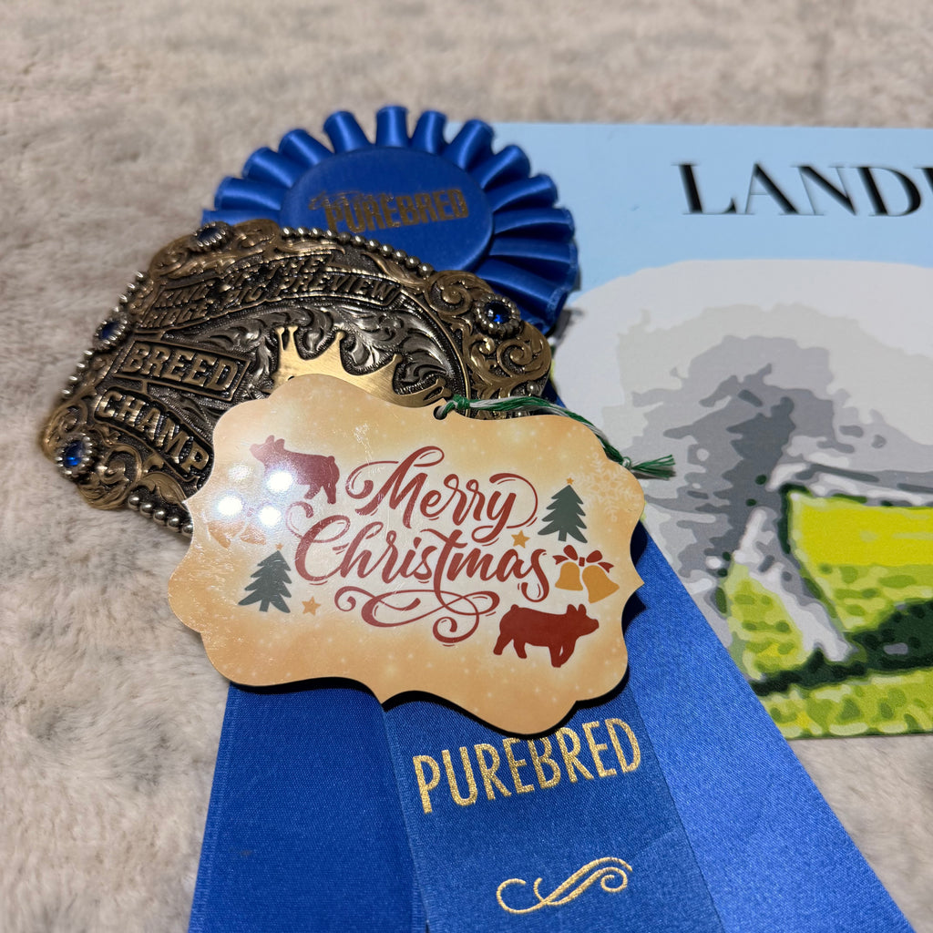 Sublimation Pig Ornaments