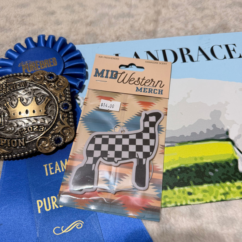 Checkered Lamb Freshie