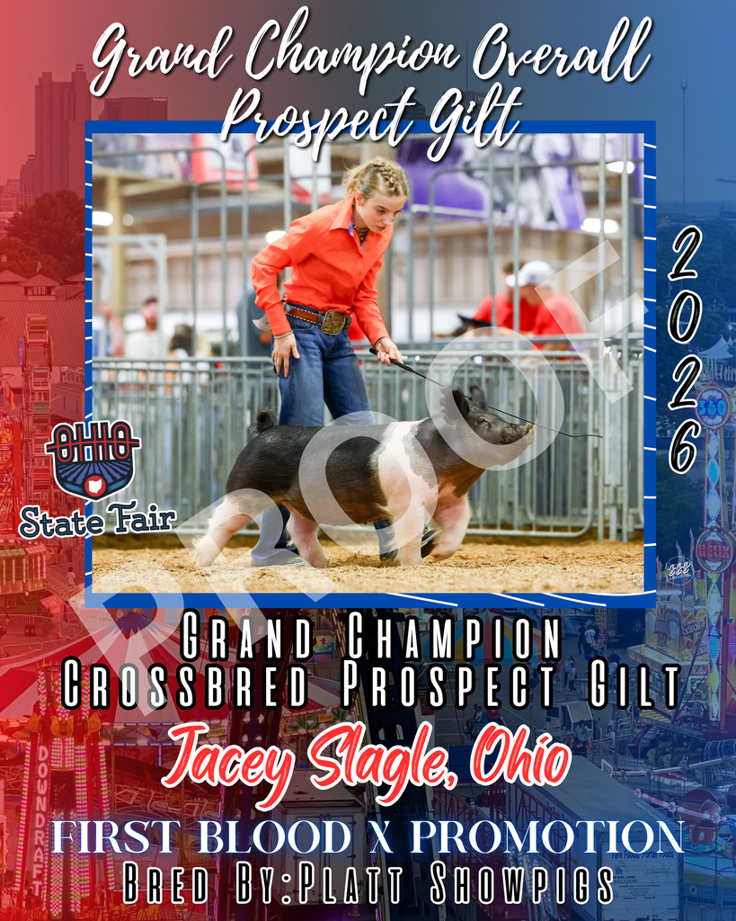Vinyl Award Banner Ohio State Fair 2026