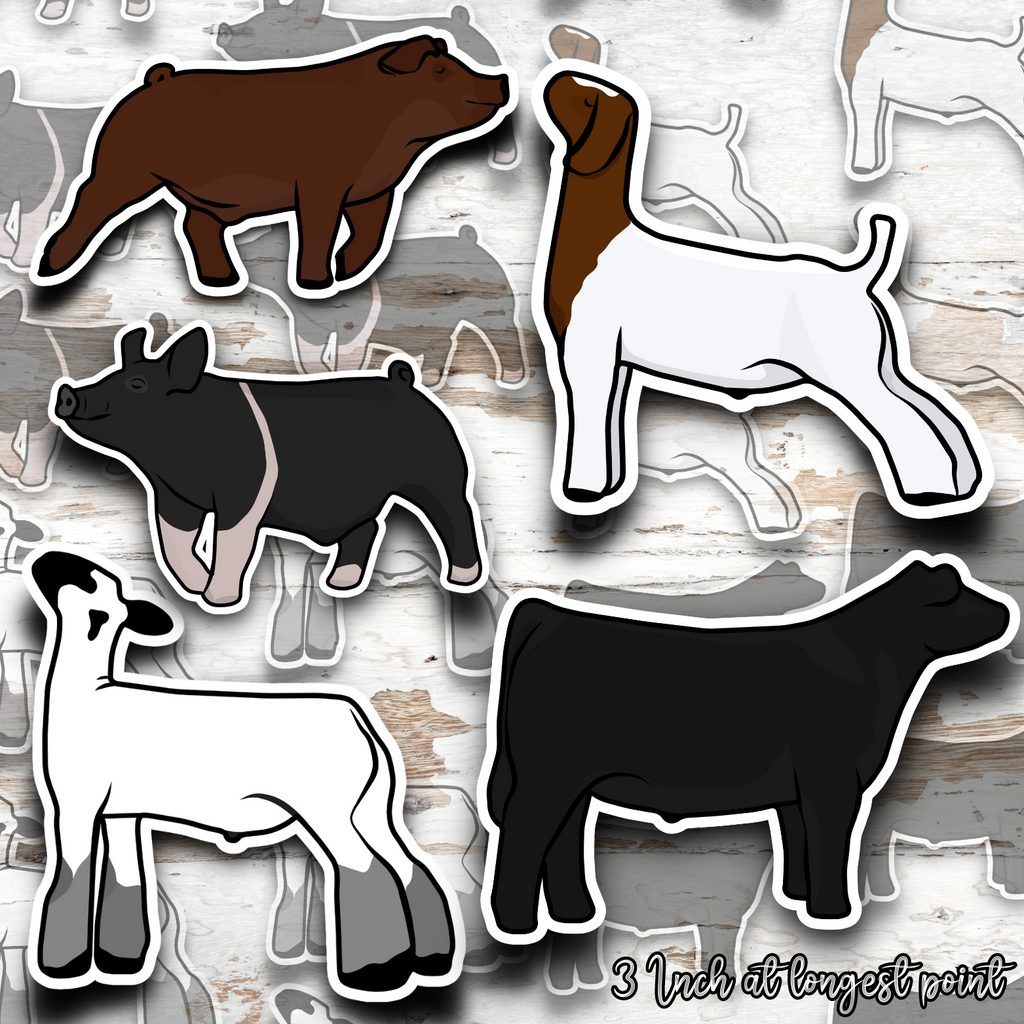 Back in the Barn Exclusive Livestock Sticker