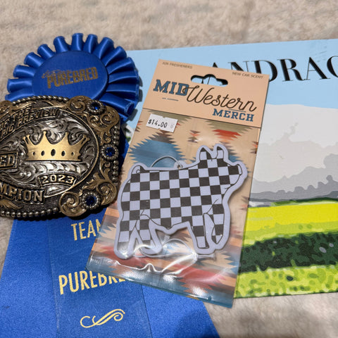 Checkered Pig Freshie