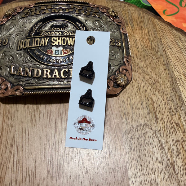 Ear Tag Pig Wooden Stud Earrings