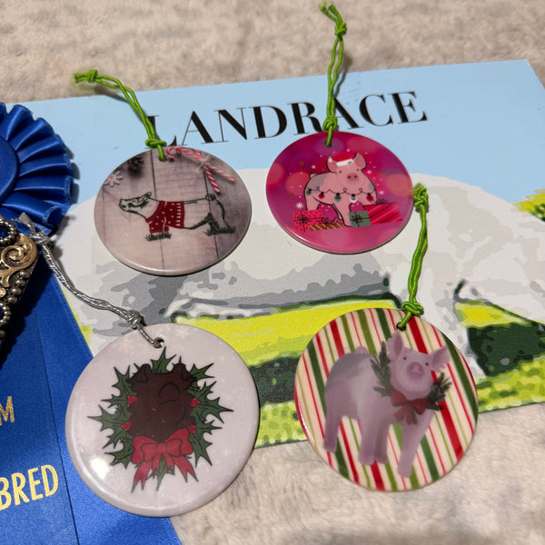 Ceramic Pig Ornaments