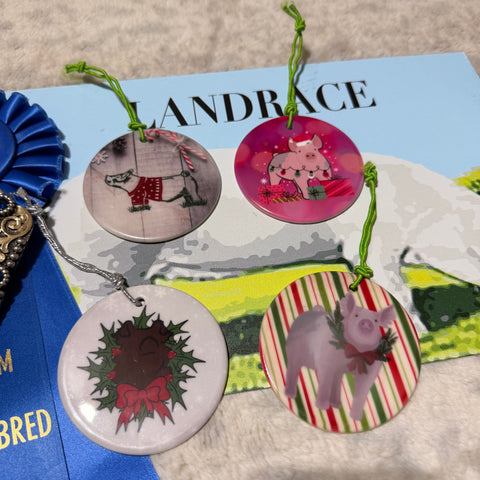 Ceramic Pig Ornaments