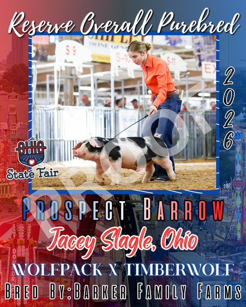 Vinyl Award Banner Ohio State Fair 2026