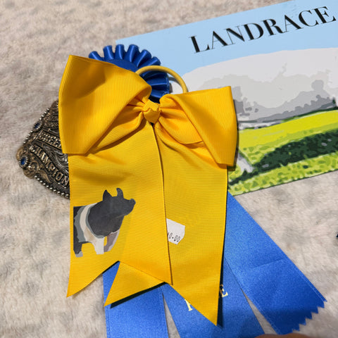 Yellow Hampshire Pig Bow (Style 2)