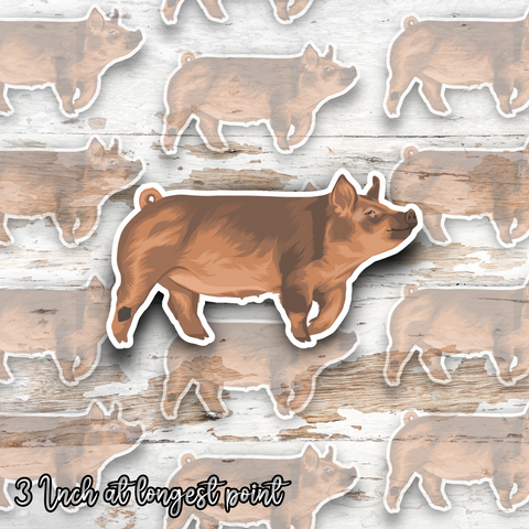About Tamworth Time Pig Sticker
