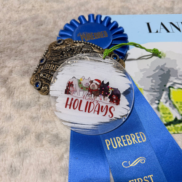Acrylic Pig Ornaments