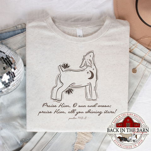 Shining Stars Psalm 148:3 Goat Shirt