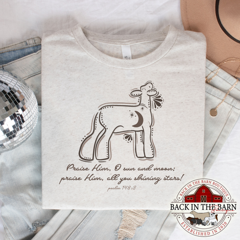 Shining Stars Psalm 148:3 Lamb Shirt