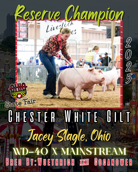 Vinyl Award Banner Ohio State Fair 2025