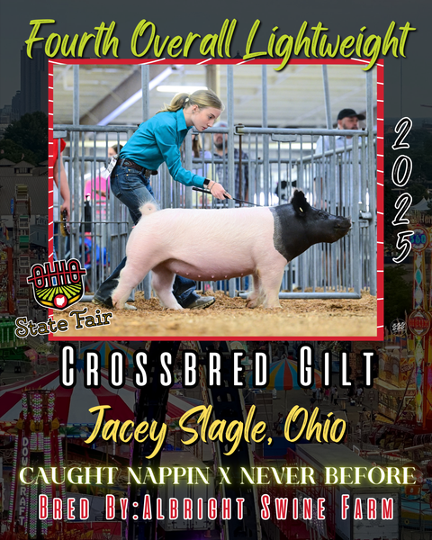Vinyl Award Banner Ohio State Fair 2025